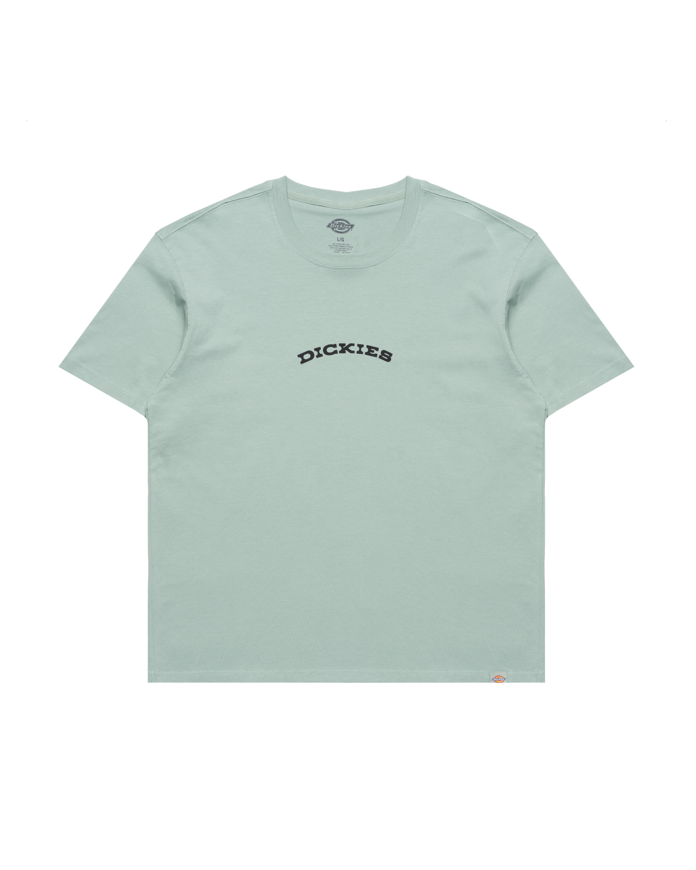 Dickies OUTDOOR TEE | DK0A4Z8PK361 | AFEW STORE
